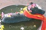 அதிகார நந்தியை குளிர்விக்க பூஜை!