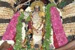 மாங்கனி விழாவில் அமுது படையல்!