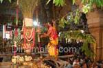 நெல்லையப்பர் கோயிலில் ஆடிப்பூரத்திருவிழா கொடியேற்றத்துடன் கோலாகல துவக்கம்