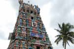 சிறுவாபுரி முருகன் கோவிலில் 11ம் தேதி கல்யாண மகோற்சவம்