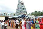மாசாணியம்மன் கோவிலில் ஆடி அமாவாசை கோலாகலம்