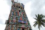 சிறுவாபுரி வள்ளி மணவாள பெருமானுக்கு கல்யாண மஹோற்சவம்