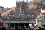 திருப்பரங்குன்றத்தில் சுந்தரர் குருபூஜை !