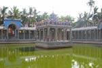 நெல்லையப்பர் கோயில் வெளித்தெப்பம் சீரமைக்க பக்தர்கள் வலியுறுத்தல்!