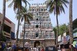 திருநாகேஸ்வரம் கோவிலில் ராகு பகவானுக்கு சிறப்பு அபிஷேகம்!
