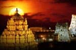 திருமலை வனப்பகுதி வழியே பாத யாத்திரை: மாலை 5 மணி வரை மட்டும் அனுமதி!