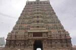தென்காசி காசிவிசுவநாதர் கோயிலில் : தெப்ப உற்சவம் கோலாகலம்