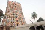 பெருமாள் கோயிலில் புரட்டாசி சனிவிழா!