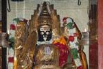 புன்னைநல்லூர் மாரியம்மன் கோவிலில் தேரோட்டம் : ஏராளமான பக்தர்கள் பங்கேற்று தரிசனம்
