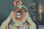 ரிஷிவந்தியத்தில் பிரதோஷ பூஜை