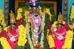 ஊஞ்சல் சேவையில் ஸ்ரீவரதராஜபெருமாள்!