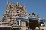 நெல்லையப்பர் கோயில் ஐப்பசி திருவிழா கொடியேற்றத்துடன் துவக்கம்!