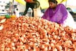 ஆக்ரா அகல் விளக்குகள் புதுச்சேரியில் விற்பனை!