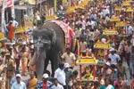 மஹா தீபத்துக்கு  இத்தாலி நாட்டு பக்தர்கள் நெய் காணிக்கை!