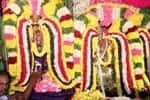 மயிலாடுதுறை மாயூரநாதர் கோயிலில் திருக்கல்யாண உற்சவம்!