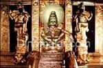 சபரிமலை நடை திறப்பு : பக்தர்களுக்கு சிறப்பு ஏற்பாடுகள்!