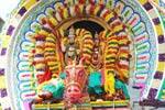 திருவண்ணாமலை 8ம் நாள் திருவிழாவில் சந்திரசேகரர் பவனி!