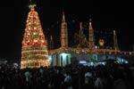 பாசிபட்டினம் தர்காவில் சந்தனக்கூடு திருவிழா!