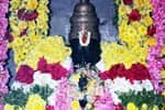 ராமானுஜர் கோவிலில் திருவாதிரை விழா!