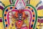 ஊத்துக்கோட்டையில் மகா கால பைரவர் ஜெயந்தி விழா!