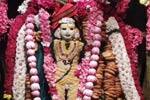 சித்தி விநாயகர் கோயிலில் ராஜ அலங்காரத்தில் வடுக பைரவர்!