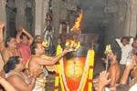 திருவண்ணாமலை தீப கொப்பரைக்கு சிறப்பு பூஜை!