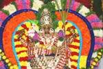 விருத்தாசலம் அங்காள பரமேஸ்வரி அம்மன் ஊஞ்சல் உற்சவம்!