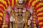 திருமலை ஏழுமலையான் ஆரம் திருச்சானூர் தாயாருக்கு அணிவிப்பு!