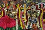 பிரசன்ன வெங்கடாசலபதி கோவிலில் தாயார் திருக்கல்யாணம்!