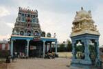 அர்த்தநாரீஸ்வரர் கோயிலில்ஆருத்ரா தரிசன சிறப்பு பூஜை