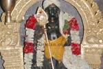 தைப்பூசத்துக்கு தயாராகும் கோவில்: சென்னிமலையில் பக்தர்கள் உற்சாகம்!