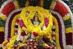 புதுக்கோட்டை ஐய்யப்பன் கோவிலில் மண்டல பூஜை!