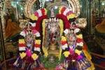 திருவதிகை சரநாராயண பெருமாள் சிறப்பு அலங்காரத்தில் அருள்பாலிப்பு!
