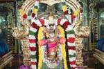 திருக்கண்ணாடி அறையில் திருவதிகை சரநாராயண பெருமாள்!
