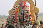 காஞ்சி வரதராஜபெருமாள் கோவில் வனபோஜன உற்சவம்!