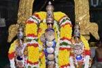 காஞ்சி விஜயராகவப்பெருமாள் கோவில் தெப்ப உற்சவம்!