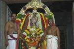 நாங்கூரில் கருடசேவை உற்சவம்: ஆயிரக்கணக்கானோர் தரிசனம்!