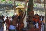 விருத்தாசலம் ஆழத்து விநாயகர் நால்வருடன் உலா!