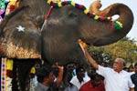 கோயில் யானைகள் முகாம் நிறைவு!