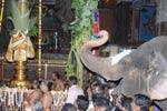 மதுரை கூடலழகர் கோயிலில் மாசிமக திருவிழா கொடியேற்றம்!