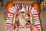 சேஷ வாகனத்தில் வைகுண்டவாசப்பெருமாள்!