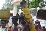 அரங்கநாதர் கோவிலில் தண்ணீர் பந்த சேவை!
