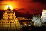 திருப்பதி செல்ல பக்தர்கள் அச்சம்!