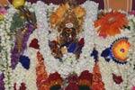 பழனி மாரியம்மன் கோயிலில் திருக்கல்யாணம்!