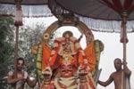 காஞ்சி யதோக்தகாரி பெருமாள் கோவில் கருட சேவை!