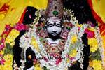 ஆலங்குடி ஆபத்சகாயேஸ்வரர் கோவிலில் குருபெயர்ச்சி விழா!