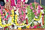 திருமூர்த்தி மலை கோவிலில் அமாவாசை வழிபாடு