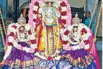 பாமா ருக்மணி ஊஞ்சல் உற்சவம்