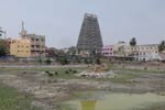 தண்ணீரின்றி...வறண்டது: திருக்கோவிலூர் தெப்பக்குளம்!