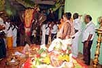ஓசூரம்மன் கோவிலில் யானை, குதிரையை வைத்து பூஜை!
